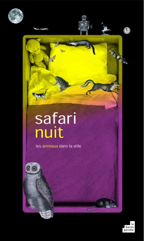Safari Nuit
