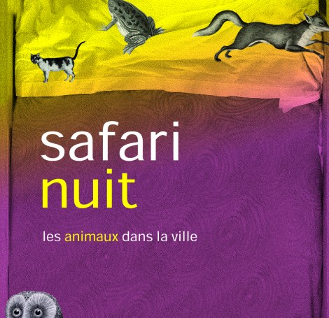 SafariNuit