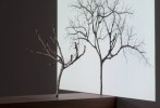 ST (L'arbre)