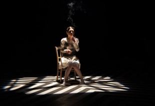 Photo de la Dinoponera / Howl Factory