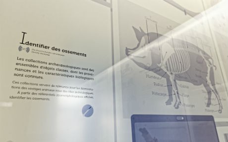 La Villa Linder Labo