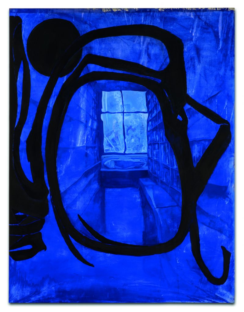 Stéphane Belzère, Immersion bleue 1