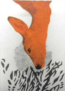Katharina Bürgin, série Animaux morts (biche, lièvre, cerf) 2018