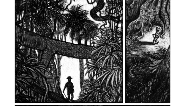 © Tom Tirabosco, "Congo" Futuropolis 2013