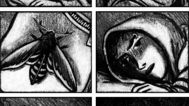 © Tom Tirabosco, "Femme sauvage" Futuropolis 2019