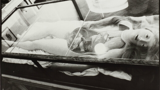 Zoe Leonard : Wax Anatomical Model with Pretty Face, 1990 FNAC 2000-155
© Cnap © photo : Fabrice Lindor