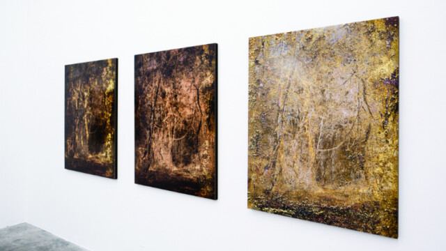 Photo de Benoît Linder pour Poly