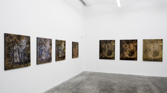 Photo de Benoît Linder pour Poly