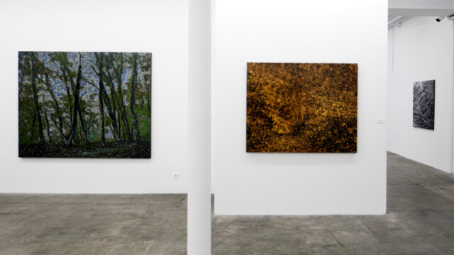 Photo de Benoît Linder pour Poly