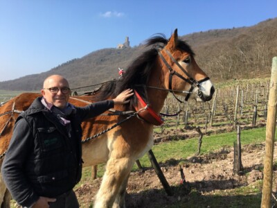 Photo de Bernd Koppenhöfer