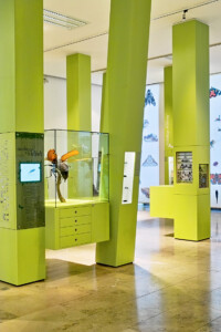 Monde des insectes © SMNK