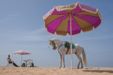 Yoriyas: Wie im Traum, 2016. Aus der Serie "Casablanca Not the Movie"
Copyright Foto: Yoriyas