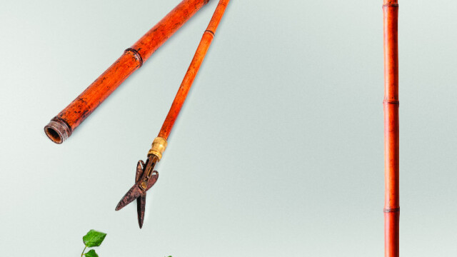 Canne à système avec ciseau à fleur et à vigne