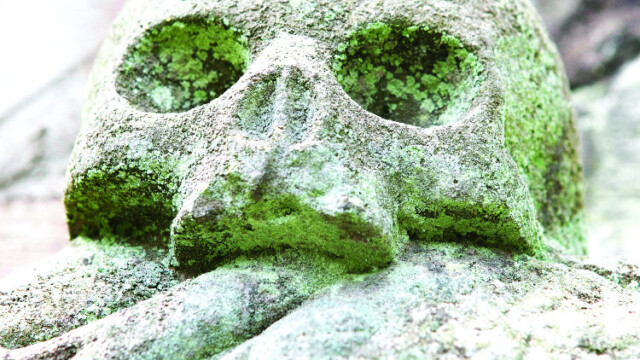 Photo de Stéphane Louis pour Poly