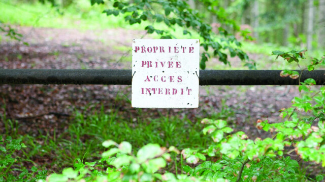 Photo de Stéphane Louis pour Poly