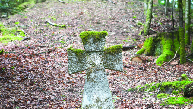 Photo de Stéphane Louis pour Poly