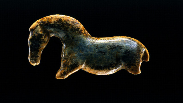 Museum Alten Kulturen, Wildpferd, Foto: MUT-Liptak