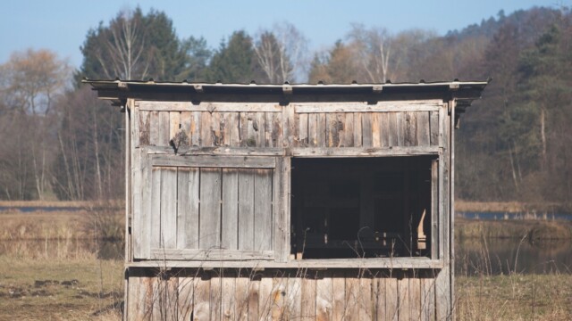 Photos de Stéphane Louis pour Poly