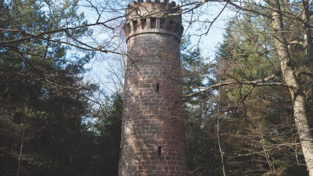 Photos de Stéphane Louis pour Poly