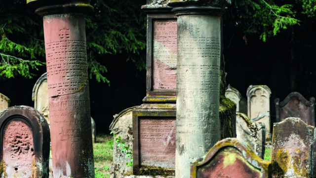 Blick auf den Jüdischen Friedhof in der Weidegasse © Roman Kasselmann