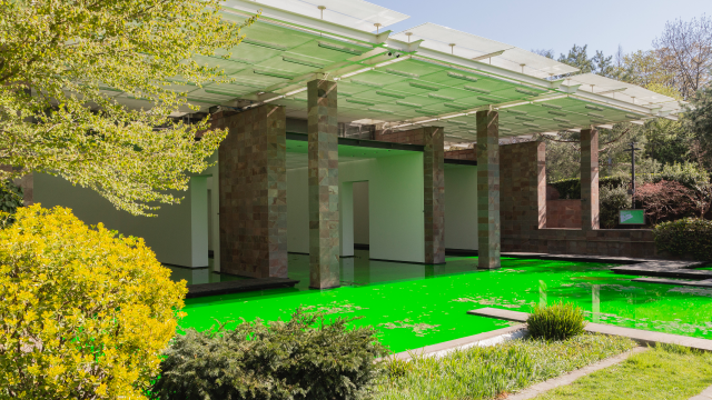 Vue d’installation, Fondation Beyeler, Riehen/Bâle, 2021
Courtesy of the artist; neugerriemschneider, Berlin; Tanya Bonakdar Gallery, New York / Los Angeles
© 2021 Olafur Eliasson
Photo: Pati Grabowicz