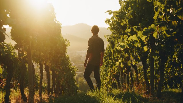 Photo de Chris Keller