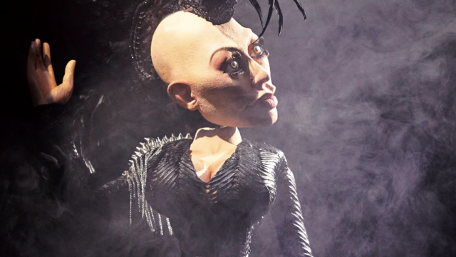 HEN-©-Christophe-Raynaud-de-Lage