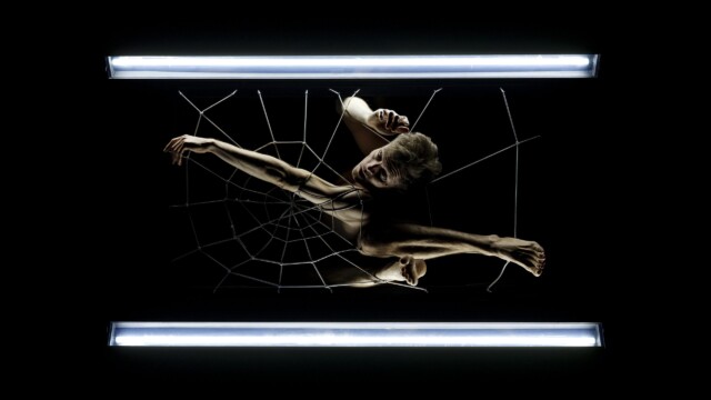 Hocus Pocus
Copyright Philippe Weissbrodt