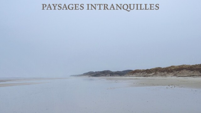 Couverture Paysages intranquilles, © François Nussbaumer Paysages intranquilles François Nussbaumer