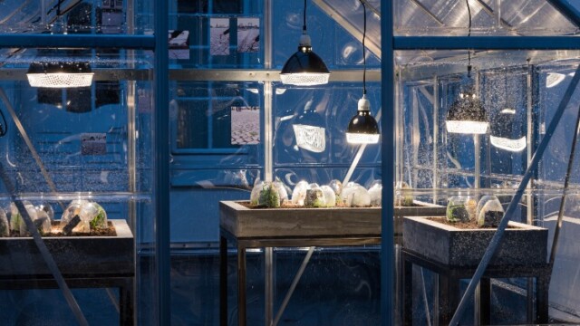 Artiste Trier, Dyffort & Driesch, Summender Gräsergarten, © Olivier Dietze