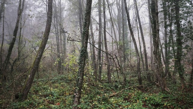 Paysages intranquilles, Losbann, © François Nussbaumer