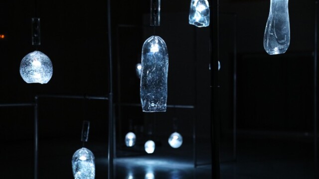 Supraorganism, © Justine Emard BioMedia ZKM