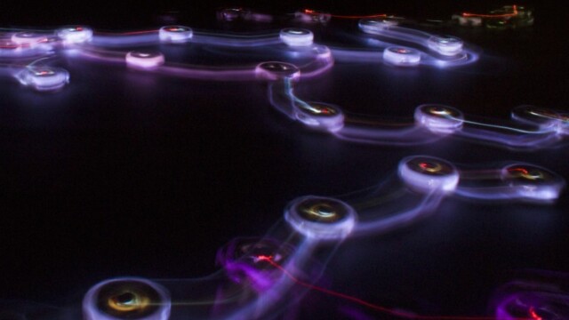 Empathy Swarm, © Katrin Hochschuh und Adam Donovan BioMedia ZKM