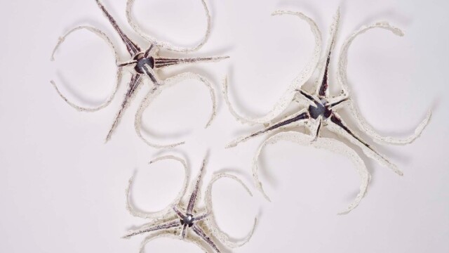 Paddy Hartley, Ill Communication, 2021 © Basile Bornand Musée Tinguely Paddy Hartley