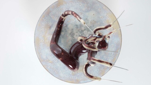 Paddy Hartley, HypoTrypanoPharmAlethephobia or The Frustration of the Virologist, 2021 © Basile Bornand Musée Tinguely Paddy Hartley