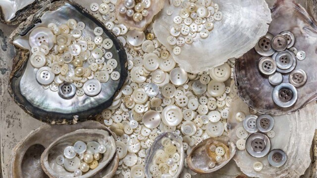 Les Nacres,
tirage encres pigmentaires, 80x120 cm