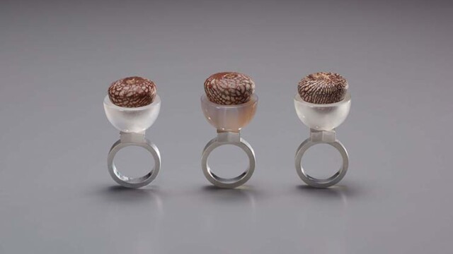 Tropic Echo, Ring Silber, Achat, Betelnüsse, Ruan Weng Mong
2019