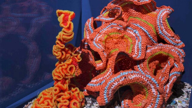 Margaret and Christine Wertheim and the Institute For Figuring Pod World – Plastic Fantastic at the 2019 Venice Biennale Photo courtesy 58th International Art Exhibition – La Biennale di Venezia, May You Live In Interesting Times, by Francesco Galli