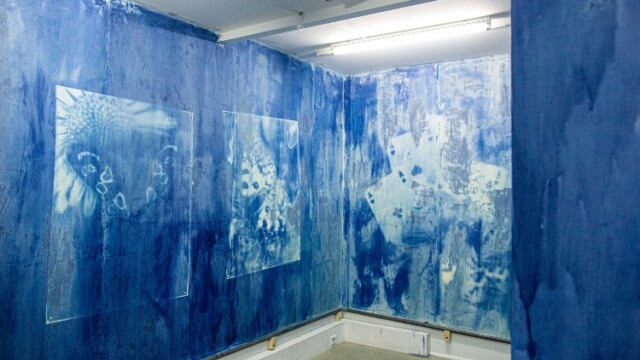 © Alex Flores Thomas Mailaender Ultra-violets