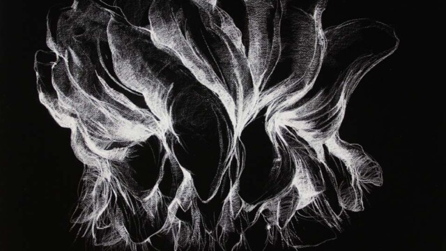 Bouquet garni © Haleh Zahedi Haleh Zahedi Mise en plis