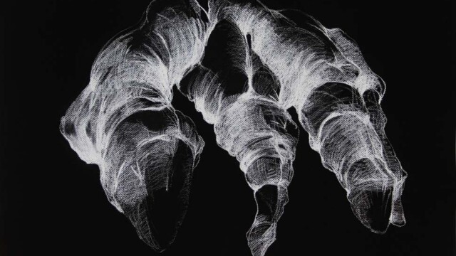 Griffe © Haleh Zahedi Haleh Zahedi Mise en plis