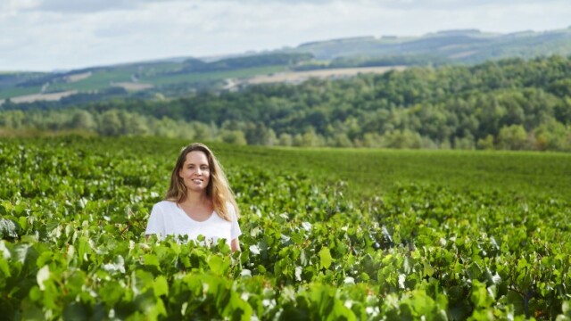 Vitalie Taittinger dans son vignoble près de Reims © David Picchiotino