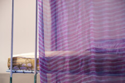 Infortune cookies, Anne Bourse