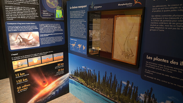 Photo de Julien Decollogne