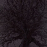 tous les reliefs d'une nuit