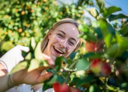 © Apfelhof Roehrenbach_ECHT BODENSEE, Dietmar Denger
