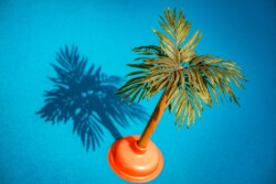 Totem Voyage © Steeve Constanty Nos îles