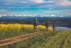 © IBT GmbH Achim Mende