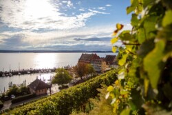 © IBT GmbH Achim Mende