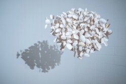 Stephane Clor Imaginary Landscape © Steeve Constanty Nos îles